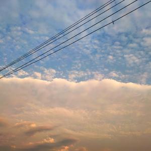 女人操逼男人视频
