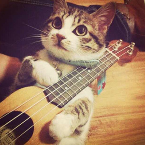 女人操逼男人视频
